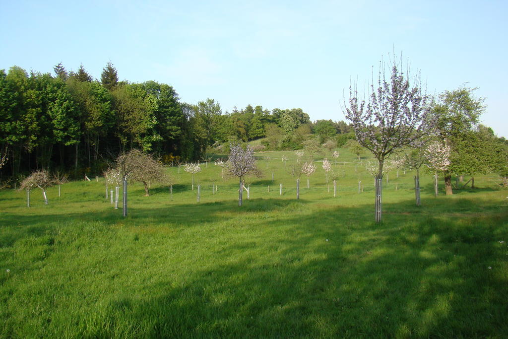 Gite De La Cour Campandré-Valcongrain Habitación foto